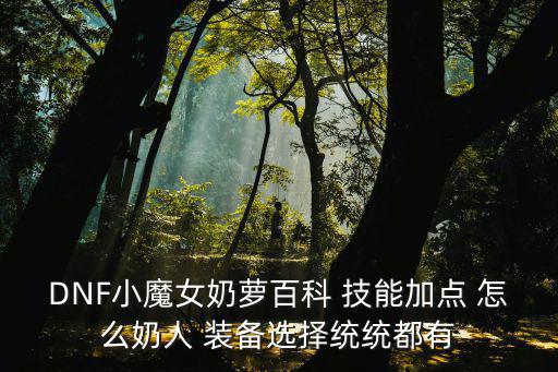 DNF小魔女奶萝百科 技能加点 怎么奶人 装备选择统统都有