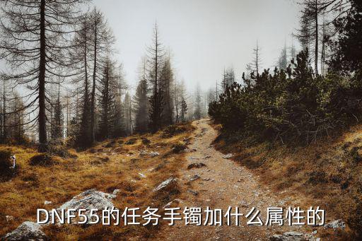 DNF55的任务手镯加什么属性的