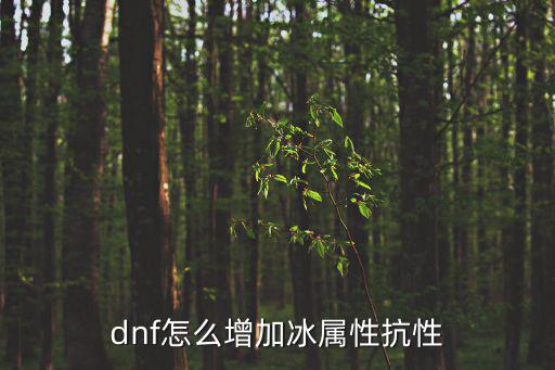 dnf怎么增加冰属性抗性