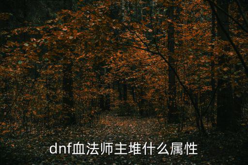 dnf血法什么属性，dnf血法师主堆什么属性