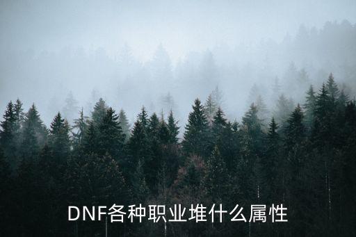 DNF各种职业堆什么属性