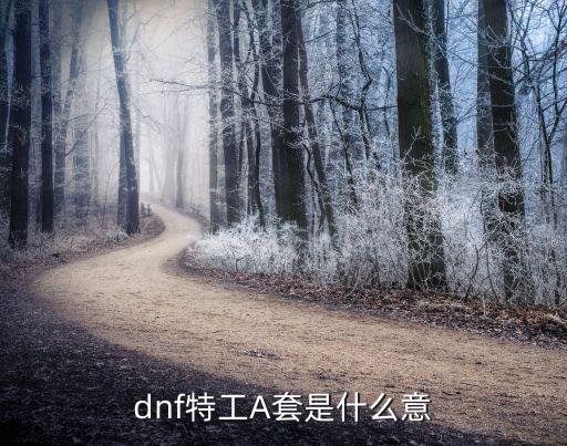 dnf特工A套是什么意