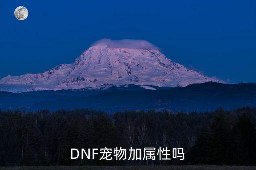 DNF宠物加属性吗