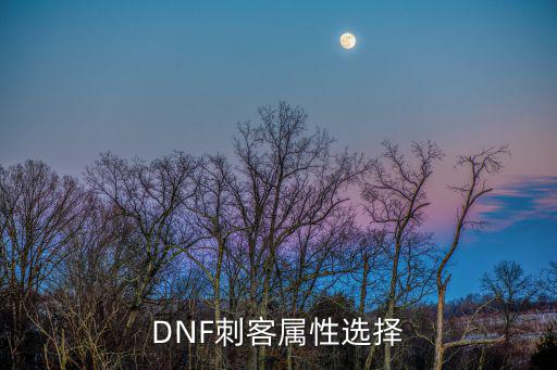 DNF刺客属性选择