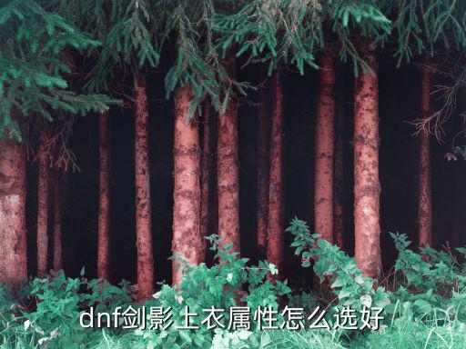 dnf剑影上衣属性怎么选好