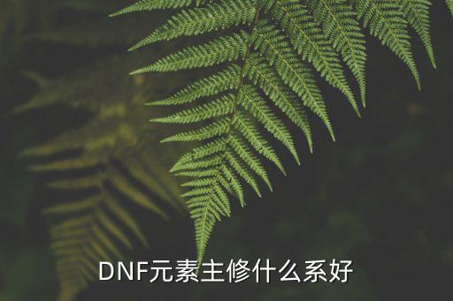 DNF元素主修什么系好