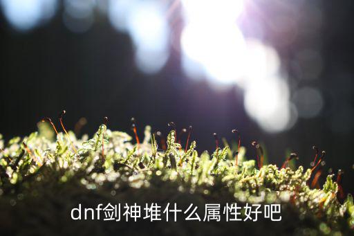 dnf剑神堆什么属性好吧