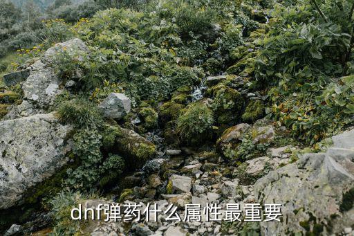 dnf弹药满什么属性，dnf弹药什么属性最重要