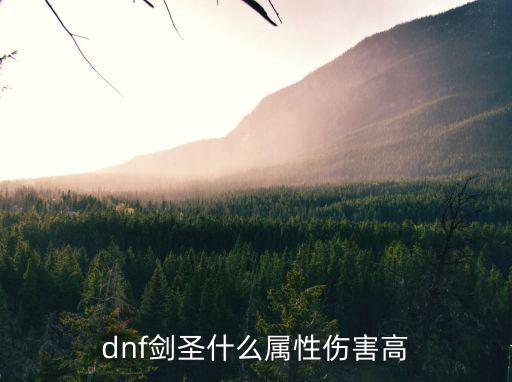 dnf剑圣什么属性伤害高