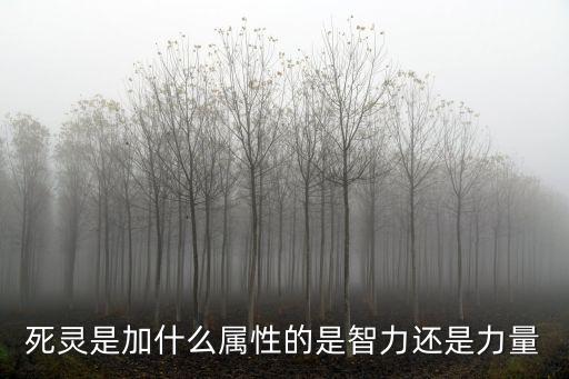 dnf死灵吃什么属性，死灵注意哪些属性