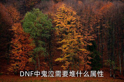 DNF中鬼泣需要堆什么属性