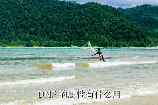 dnf属性有什么作用，DNF 的属性有什么用