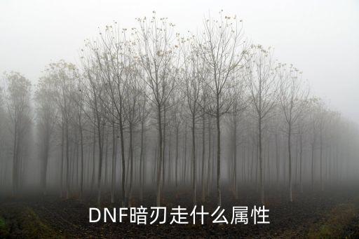 DNF暗刃走什么属性