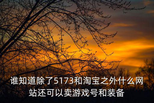 谁知道除了5173和淘宝之外什么网站还可以卖游戏号和装备