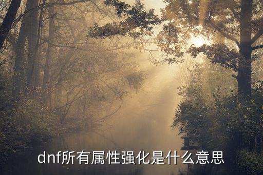 dnf所有属性强化是什么意思