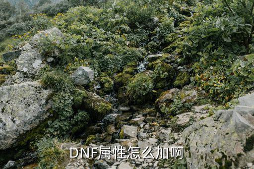 DNF属性怎么加啊