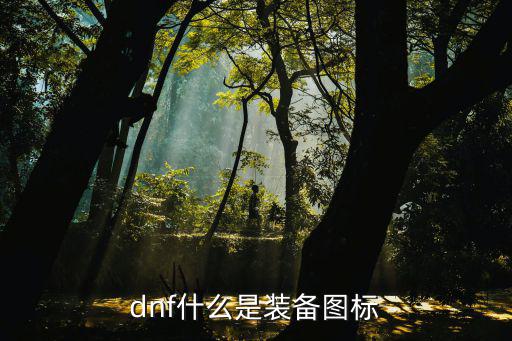 dnf什么是装备图标