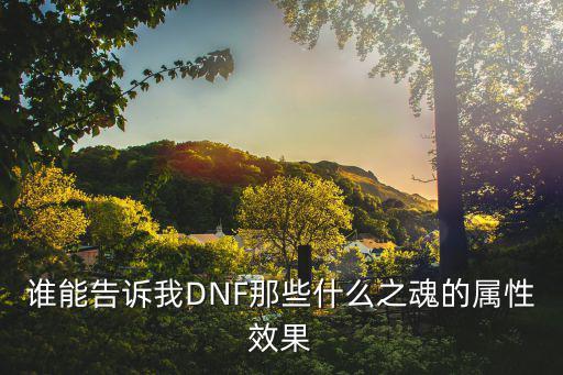 谁能告诉我DNF那些什么之魂的属性效果