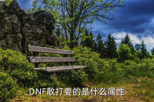 DNF散打要的是什么属性