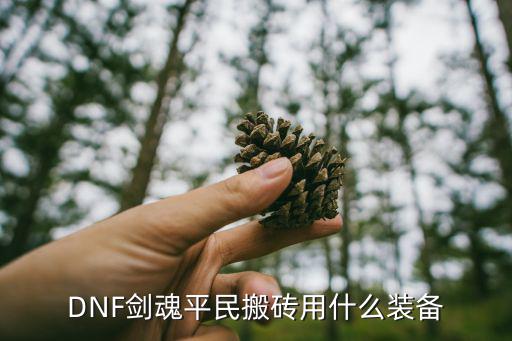 DNF剑魂平民搬砖用什么装备