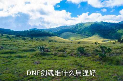 DNF剑魂堆什么属强好