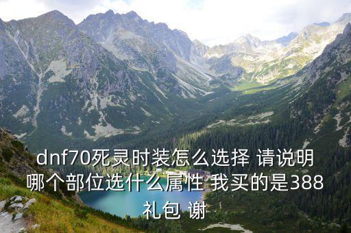 dnf70死灵时装怎么选择 请说明哪个部位选什么属性 我买的是388礼包 谢