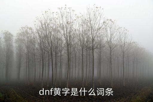 dnf黄字是什么词条