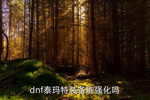 dnf泰玛特装备能强化吗