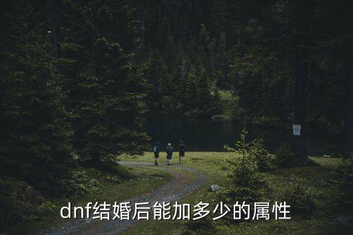 dnf 结婚加什么属性，地下城与勇士结婚角色都有什么属性加成详细点