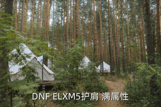 DNF ELXM5护肩 满属性