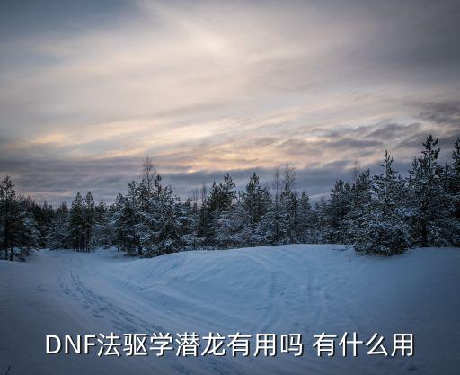 DNF法驱学潜龙有用吗 有什么用