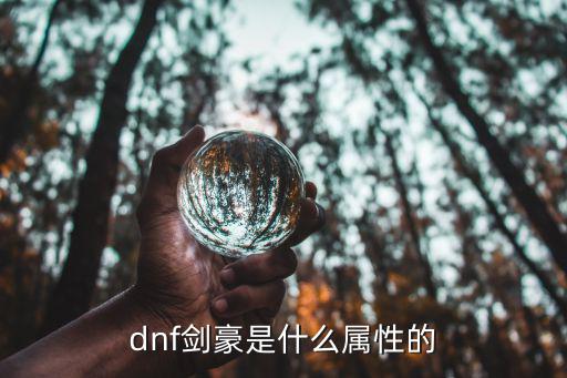 dnf剑豪是什么属性的