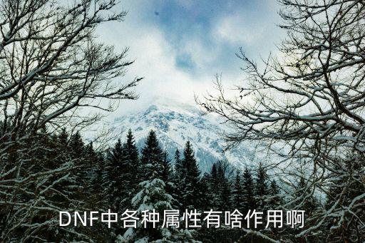 DNF中各种属性有啥作用啊