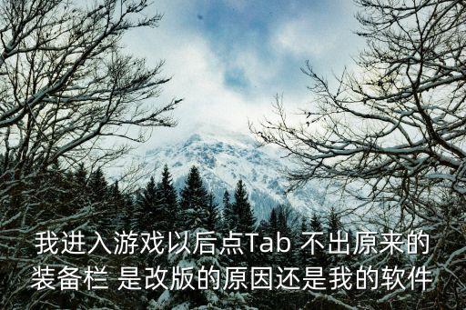 我进入游戏以后点Tab 不出原来的装备栏 是改版的原因还是我的软件