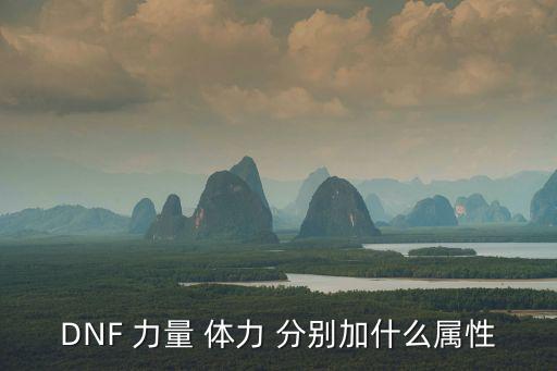 DNF 力量 体力 分别加什么属性