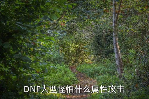 DNF人型怪怕什么属性攻击