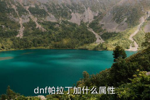 dnf帕拉丁加什么属性