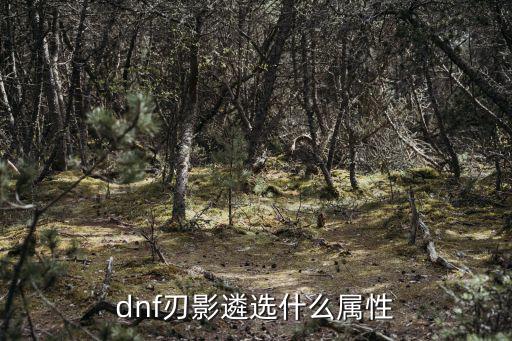 dnf刃影遴选什么属性