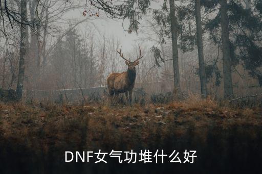 DNF女气功堆什么好