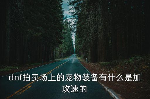 dnf拍卖场上的宠物装备有什么是加攻速的