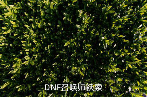 DNF召唤师袄索