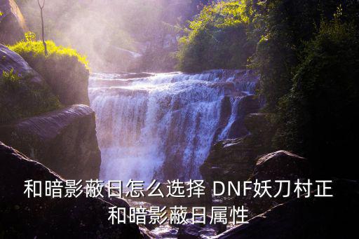 dnf暗影蔽日什么属性，想请问大家暗影蔽日附魔什么独立还是智力