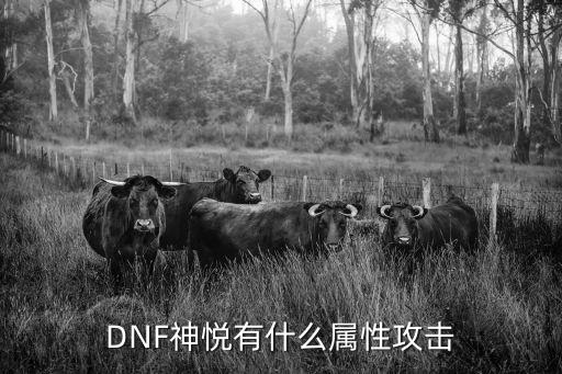 DNF神悦有什么属性攻击