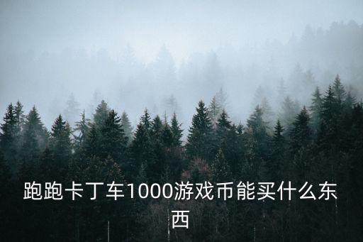 跑跑卡丁车1000游戏币能买什么东西