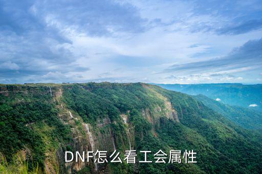 DNF怎么看工会属性