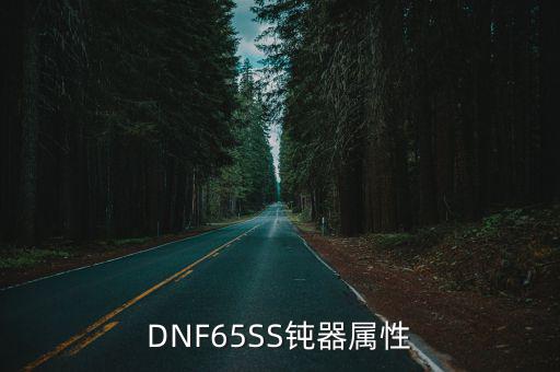 DNF65SS钝器属性