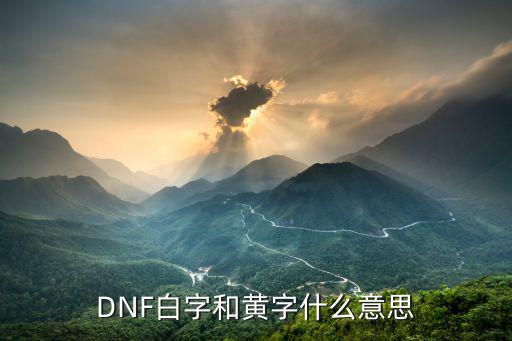 DNF白字和黄字什么意思