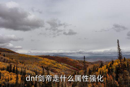 dnf剑帝走什么属性强化