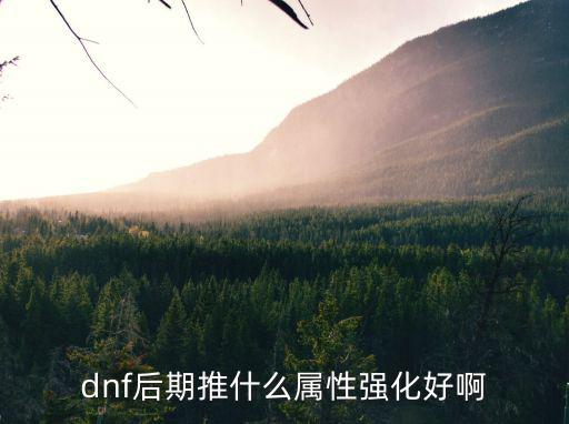 dnf后期推什么属性强化好啊