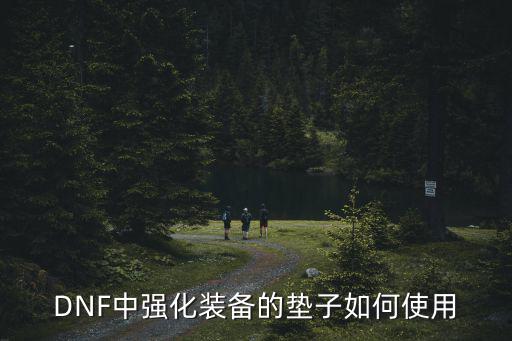 DNF中强化装备的垫子如何使用